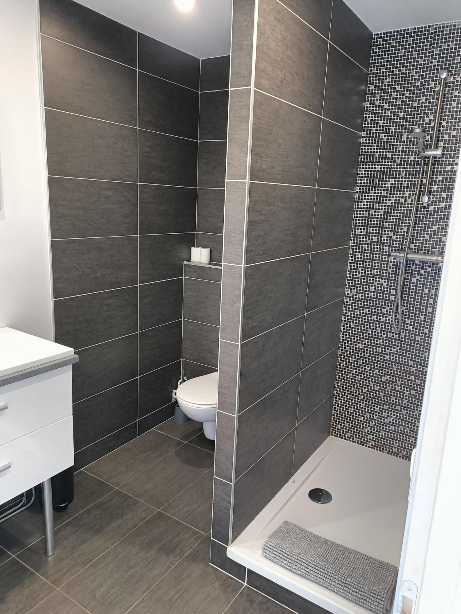 Appartement 30 M2 Neuf + Terrasse Brindas Екстериор снимка